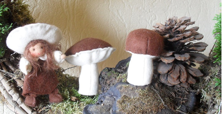 Herfst patronen
