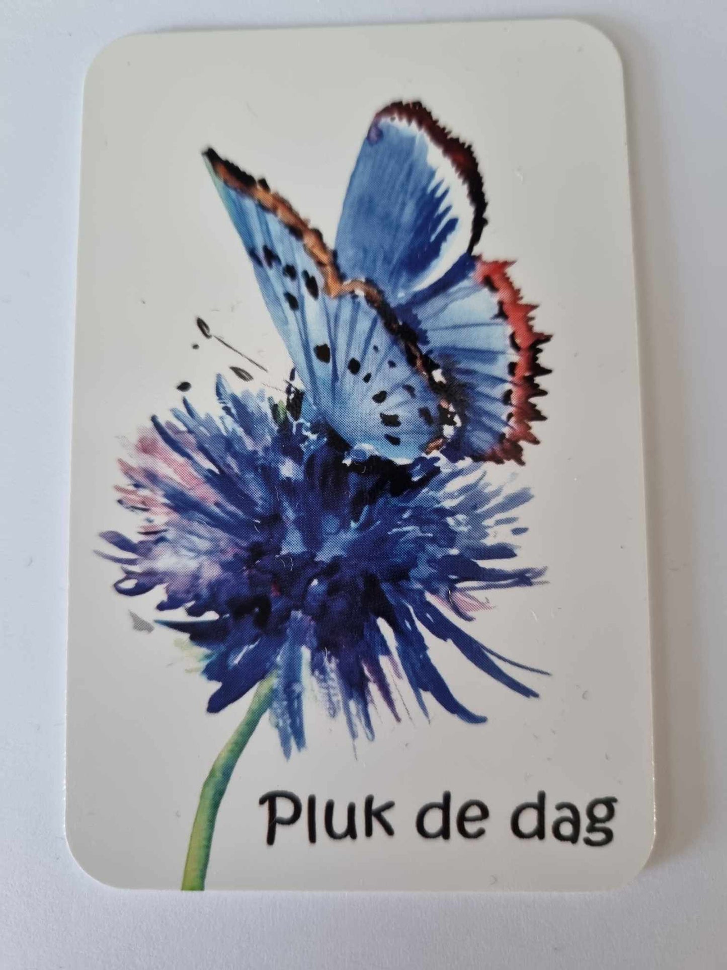 5 kaartjes Korenbloem