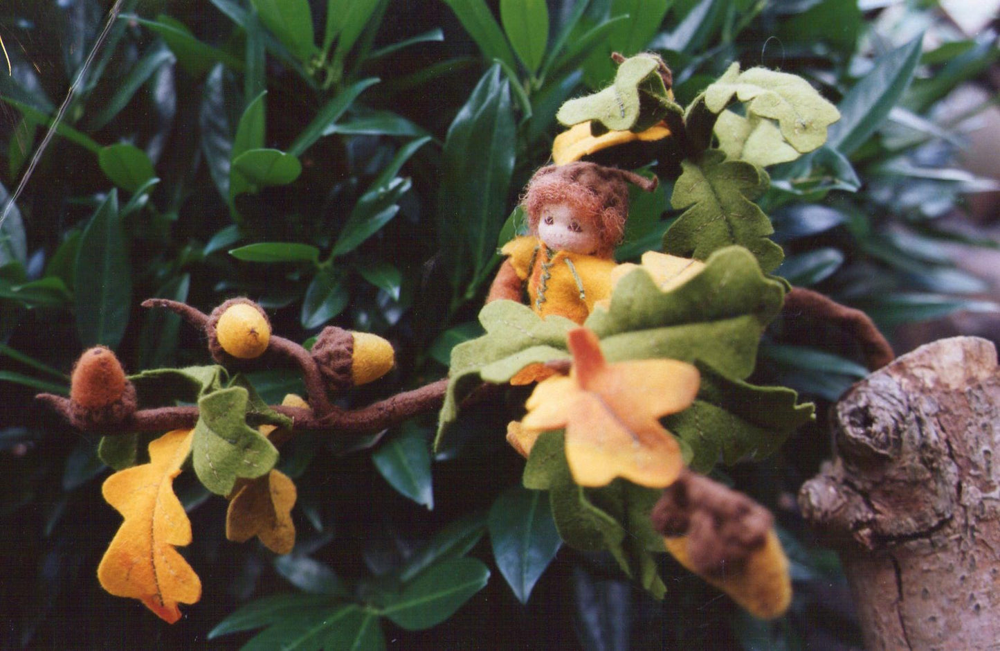 Bloemenkindje Eik (digitaal patroon)