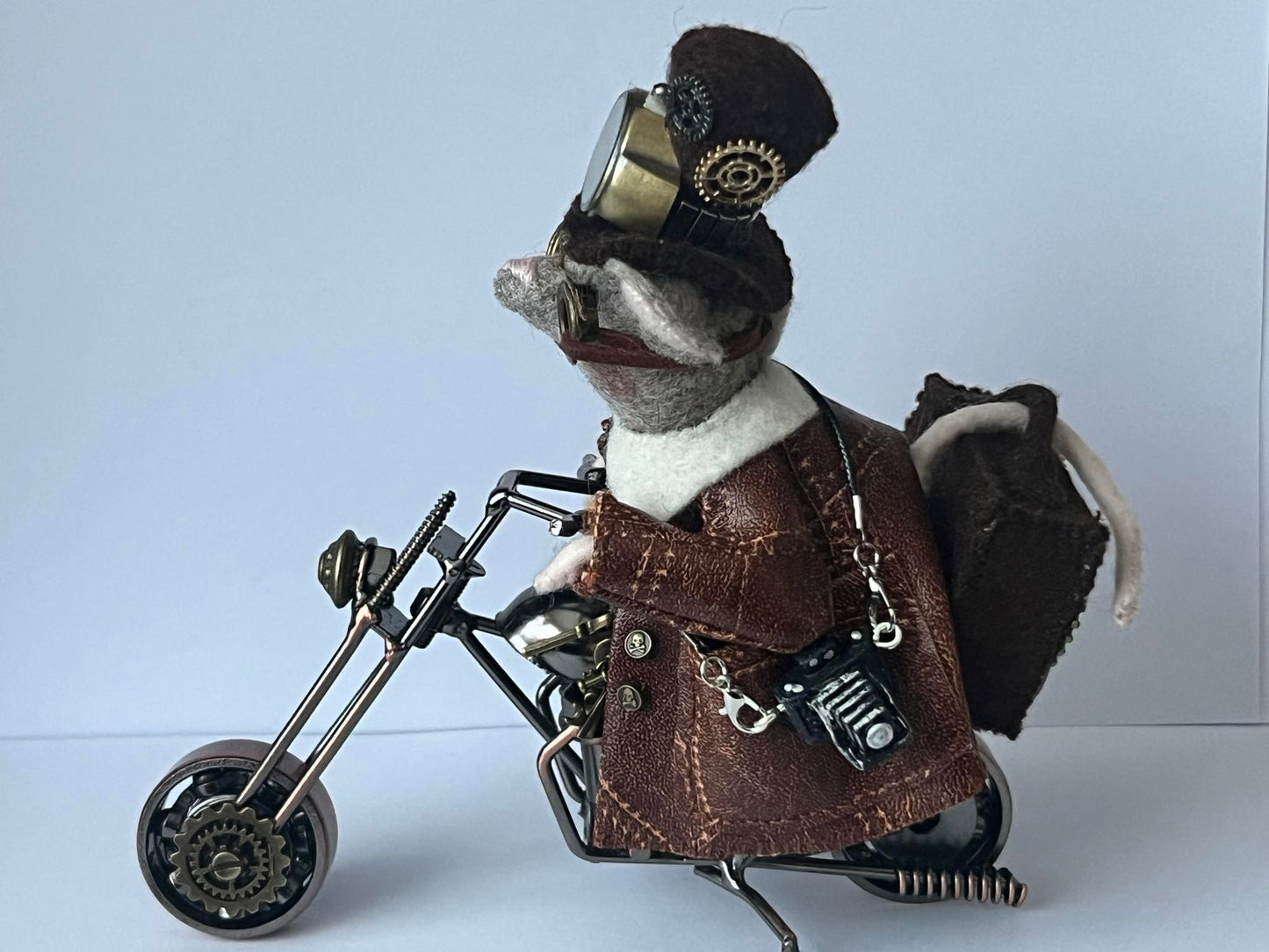 Fotocamera zwart (bv voor de motormuis