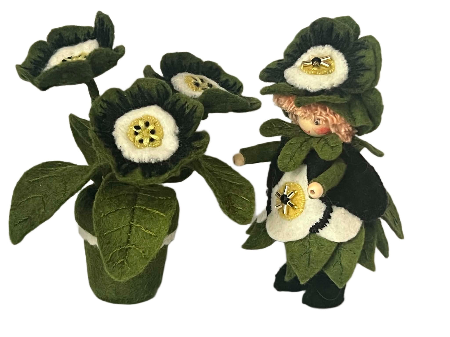Pre-order aanvullingspakket Primula-auricula