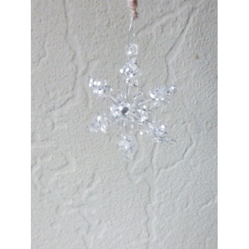 Kerstbol met Xammie op Skies