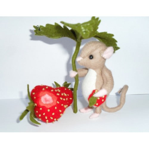 Timmie en de aardbeitjes