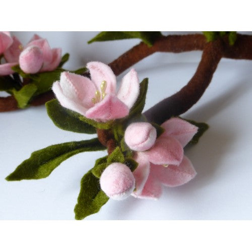 Appelbloesem