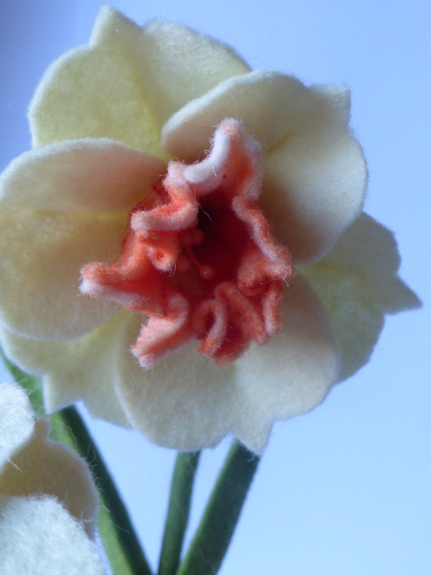 Bloemenkindje Narcis (digitaal patroon)