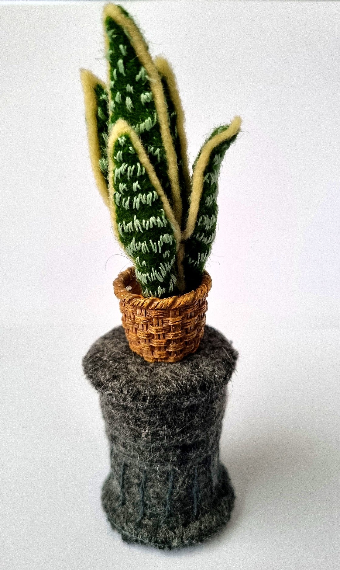 Pilaar met Sansevieria