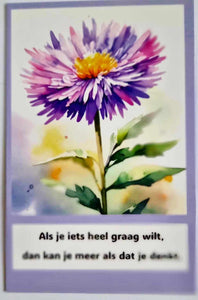 5 kaartjes Aster