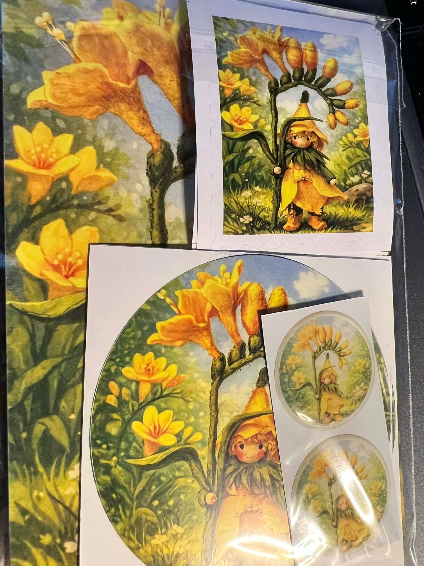 Kaarten set Fresia