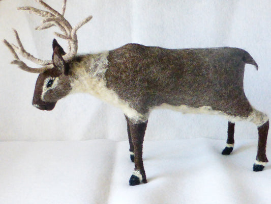 Aram (patroon)
