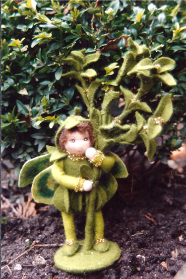 Bloemenkindje Buxus (digitaal patroon)
