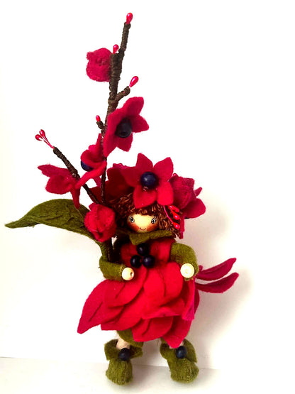 PRE-ORDER-------Bloemenhangertje "Clerodendrum ook wel Pindakaasboom genoemd