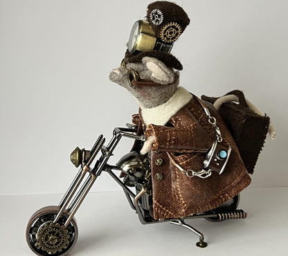 Fotocamera bruin (bv voor de motormuis)