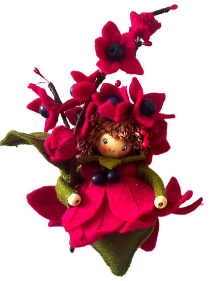 PRE-ORDER-------Bloemenhangertje "Clerodendrum ook wel Pindakaasboom genoemd