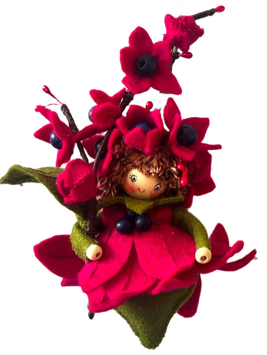 Bloemenhangertje "Clerodendrum ook wel Pindakaasboom genoemd