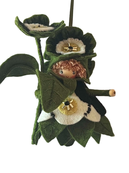 Bloemenhangertje "Primula auricula"