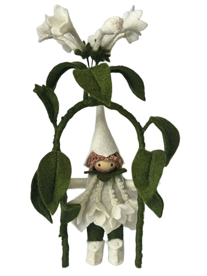 Bloemenhangertje "Stephanotis"