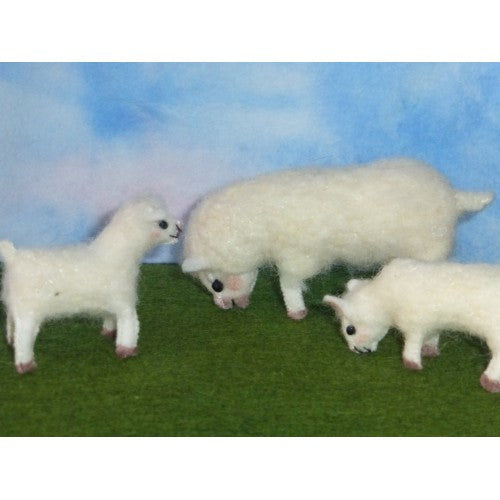 Schaap met lammetjes