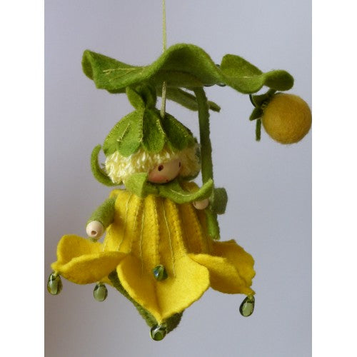 Bloemenhangertje Pompoen