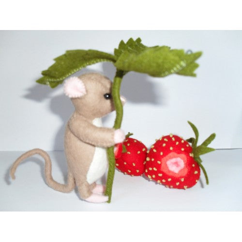 Timmie en de aardbeitjes