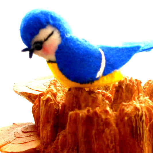 kleine pimpelmeesje